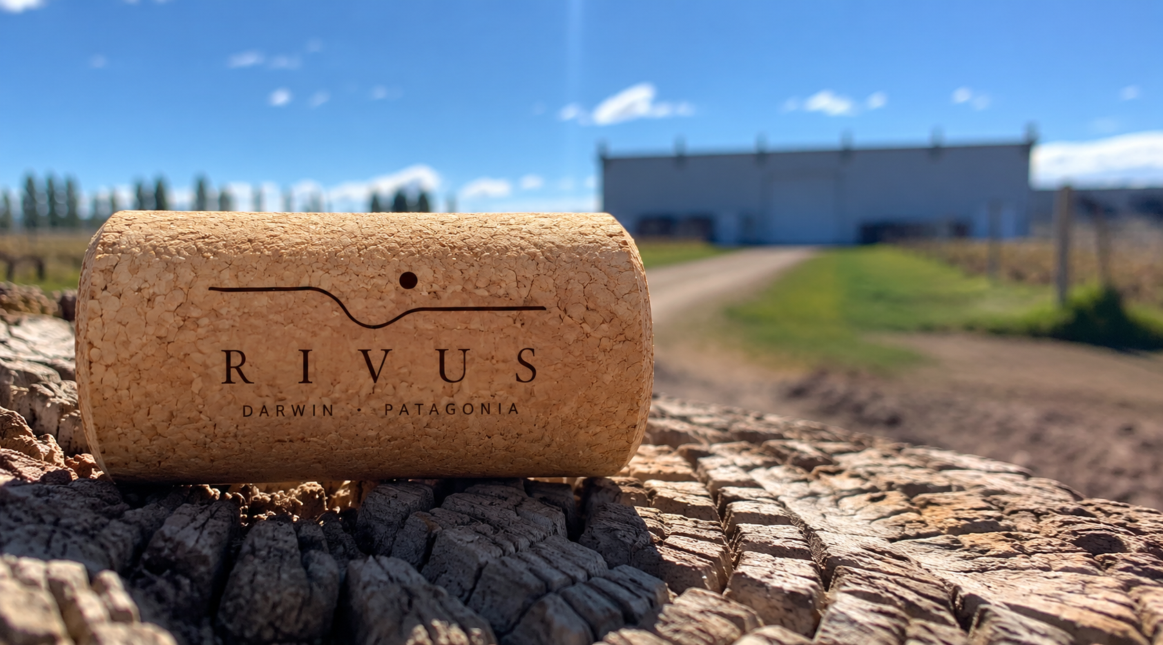 Mesa compartida con copas de vino al aire libre en el valle